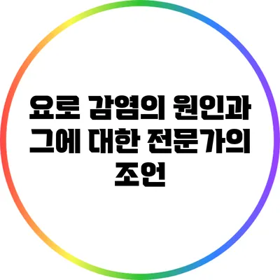요로 감염의 원인과 그에 대한 전문가의 조언