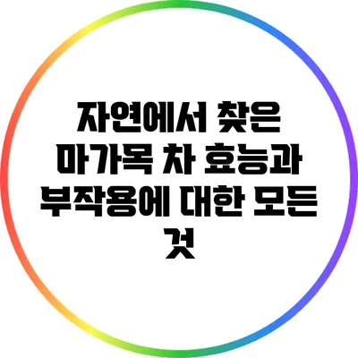 자연에서 찾은 마가목 차: 효능과 부작용에 대한 모든 것