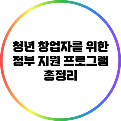 청년 창업자를 위한 정부 지원 프로그램 총정리