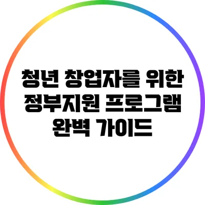 청년 창업자를 위한 정부지원 프로그램 완벽 가이드