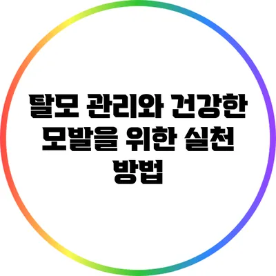 탈모 관리와 건강한 모발을 위한 실천 방법