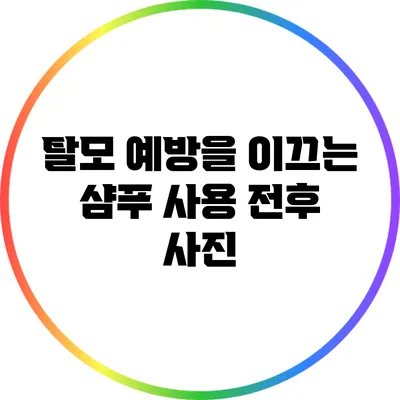 탈모 예방을 이끄는 샴푸 사용 전후 사진