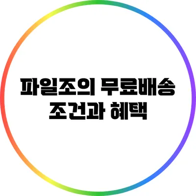 파일조의 무료배송 조건과 혜택