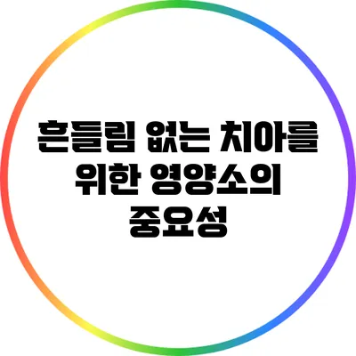 흔들림 없는 치아를 위한 영양소의 중요성