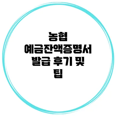 농협 예금잔액증명서 발급 후기 및 팁