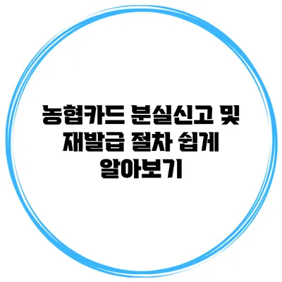 농협카드 분실신고 및 재발급 절차 쉽게 알아보기