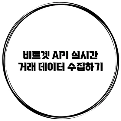 비트겟 API 실시간 거래 데이터 수집하기