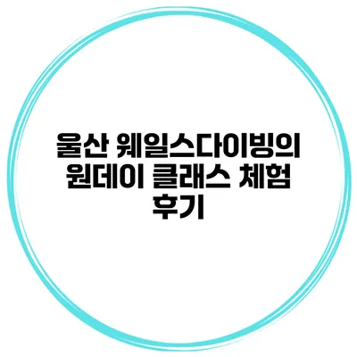 울산 웨일스다이빙의 원데이 클래스 체험 후기