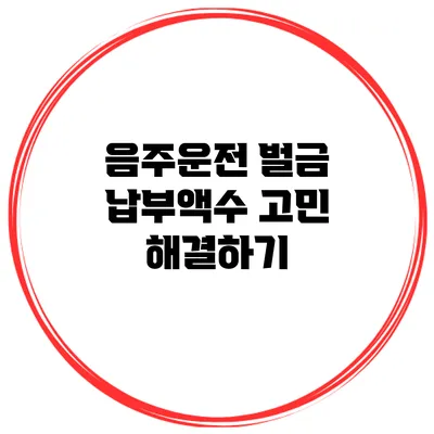 음주운전 벌금 납부액수 고민 해결하기