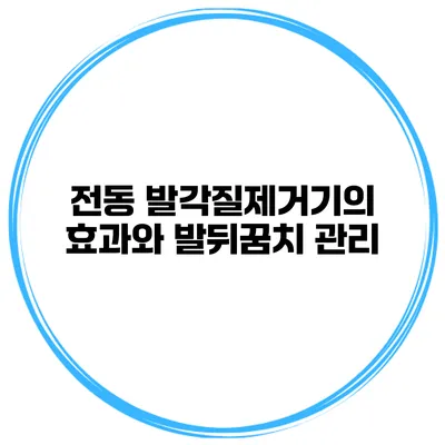 전동 발각질제거기의 효과와 발뒤꿈치 관리