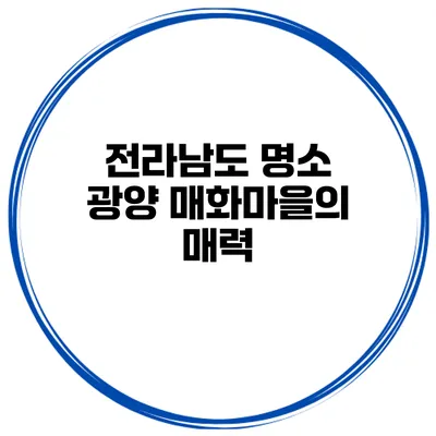 전라남도 명소 광양 매화마을의 매력