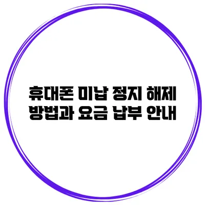 휴대폰 미납 정지 해제 방법과 요금 납부 안내