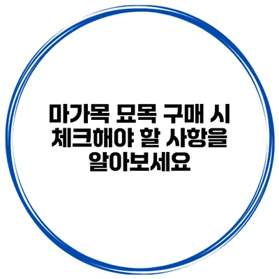 마가목 묘목 구매 시 체크해야 할 사항을 알아보세요
