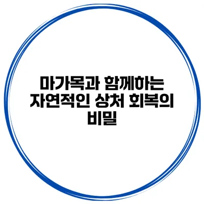 마가목과 함께하는 자연적인 상처 회복의 비밀